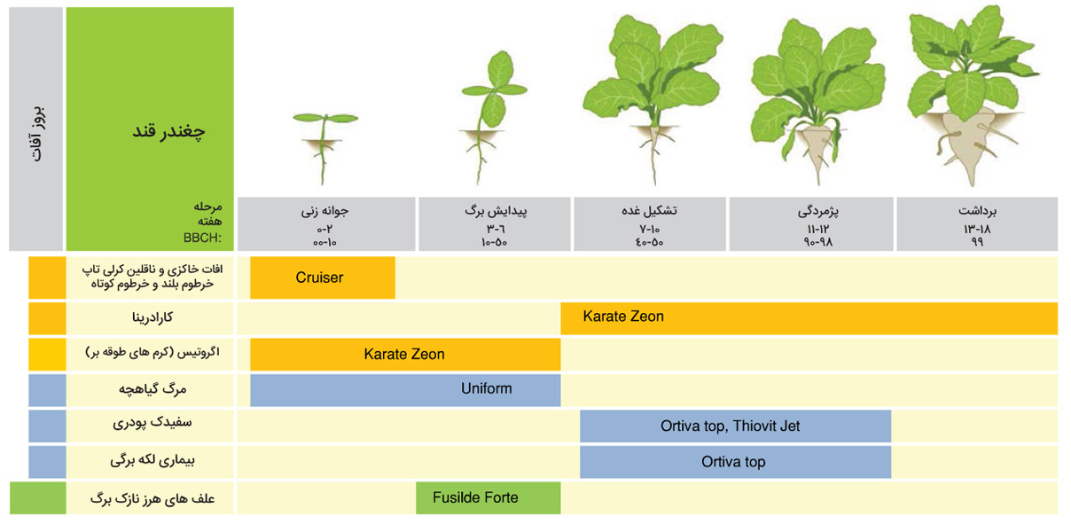 برنامه زمان بندی سموم چغندر قند