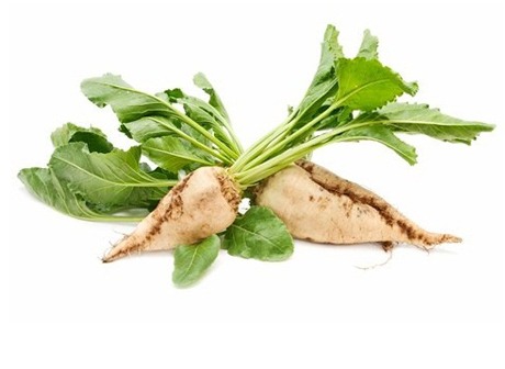 برنامه زمان بندی سموم چغندر قند