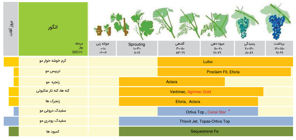 برنامه زمان بندی سموم درختان مو