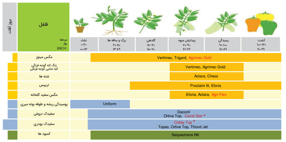 برنامه زمان بندی سموم فلفل