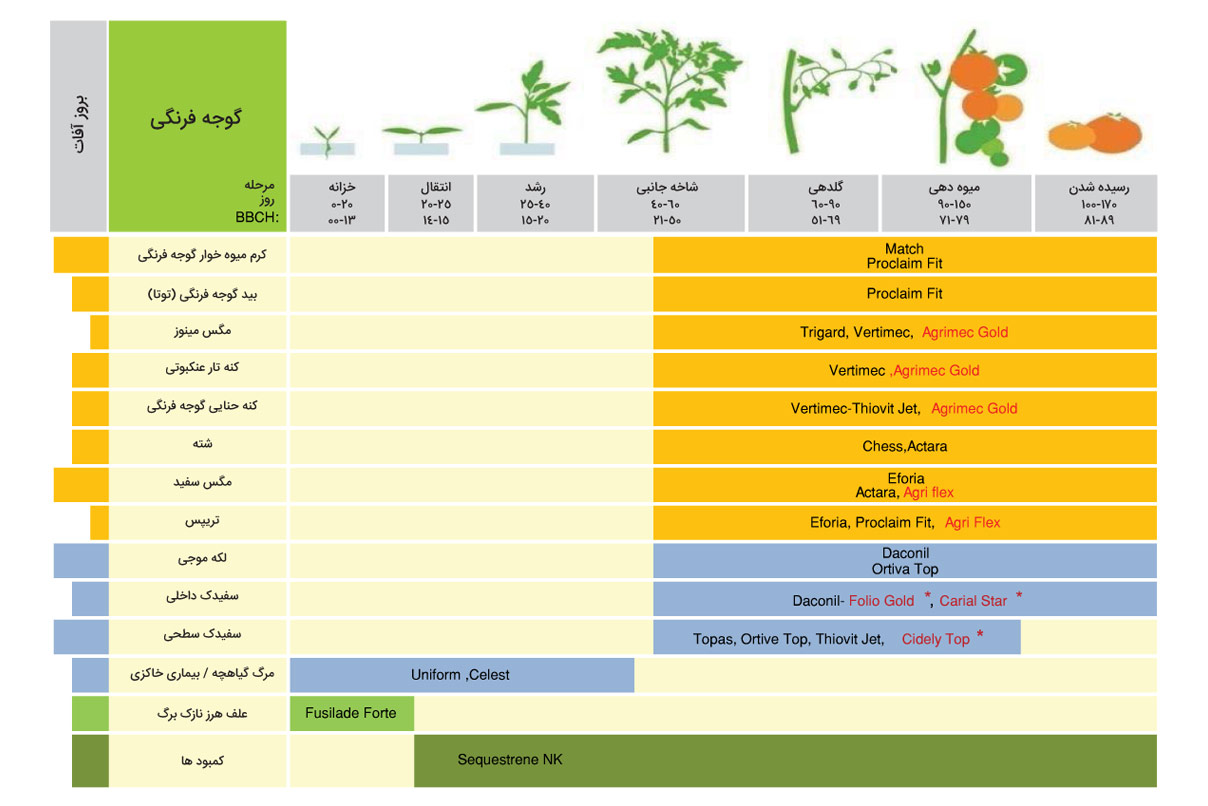 برنامه زمان بندی سموم گوجه‌‌فرنگی