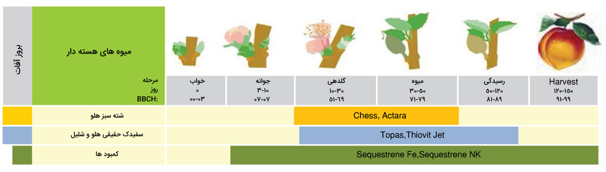 برنامه زمان بندی سموم میوه‌‌های هسته‌دار