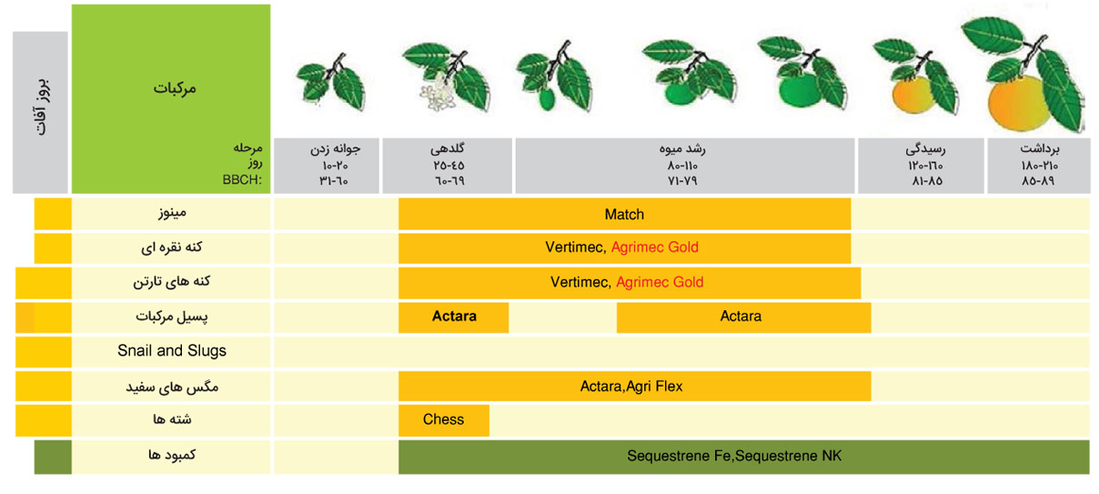 برنامه زمان‌بندی سموم مرکبات