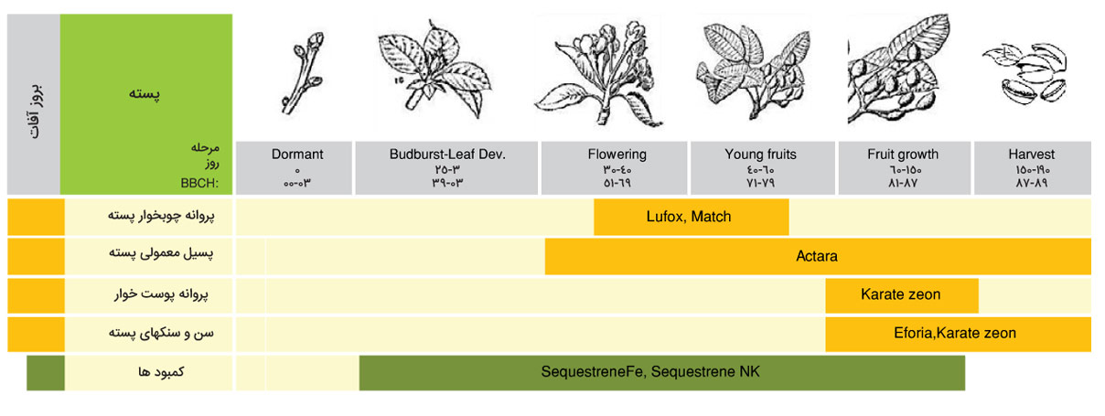 برنامه زمان‌بندی سموم پسته