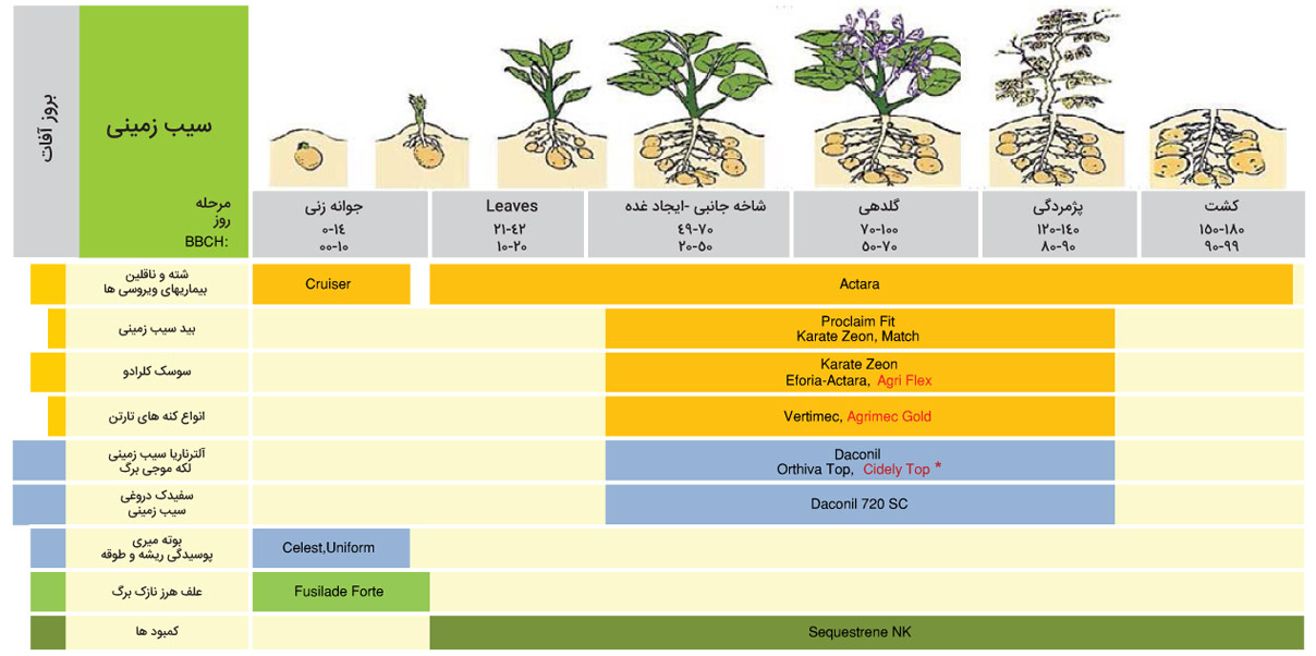 برنامه زمان بندی سموم سیب‌زمینی