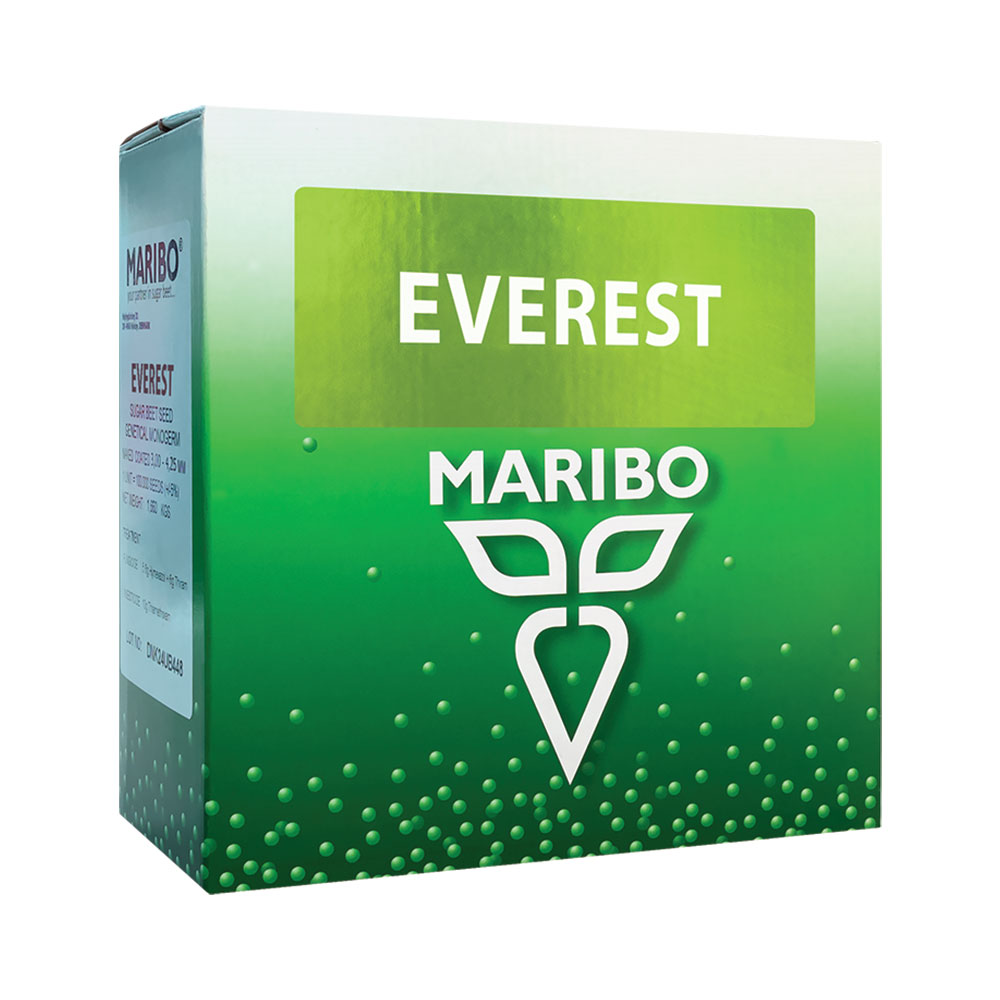 maribo-everest-suger-beet بذر چغندرقند ماریبو رقم اورست | EVEREST