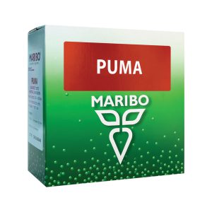 بذر چغندرقند ماریبو رقم پوما | PUMA