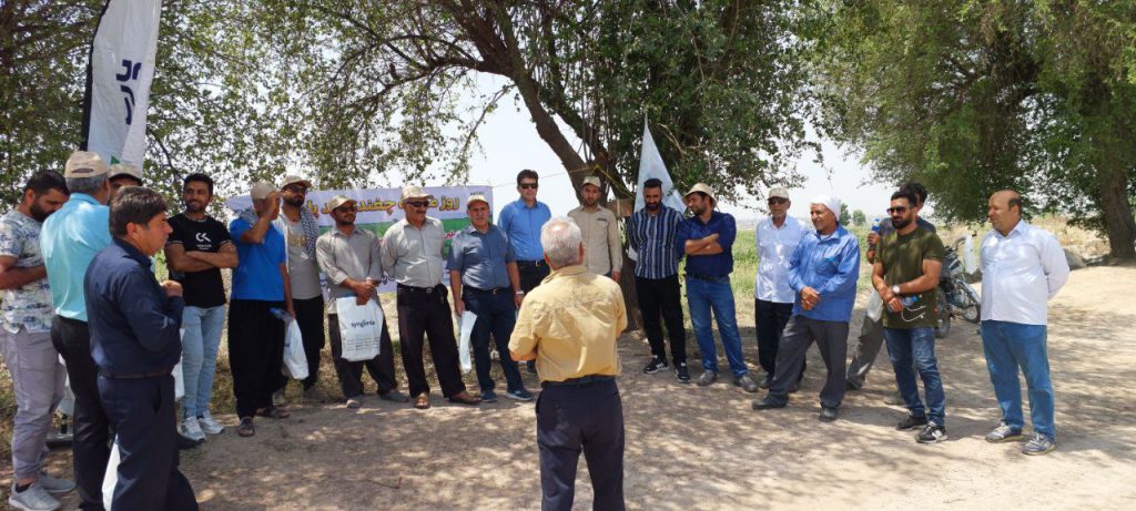 روزمزرعه ماریبو در شوش