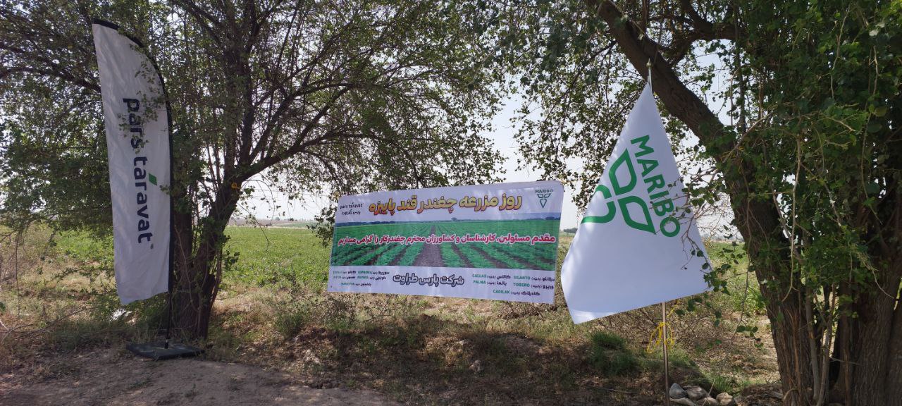 روزمزرعه ماریبو در شوش