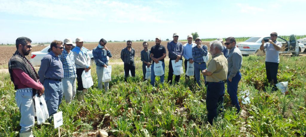 روزمزرعه اندیمیشک ماریبو