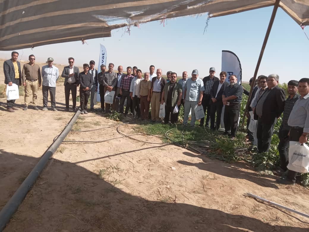 روزمزرعه ماریبو در شهرستان فریمان