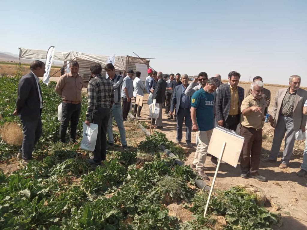 WhatsApp Image 2024-10-14 at 18.22.49