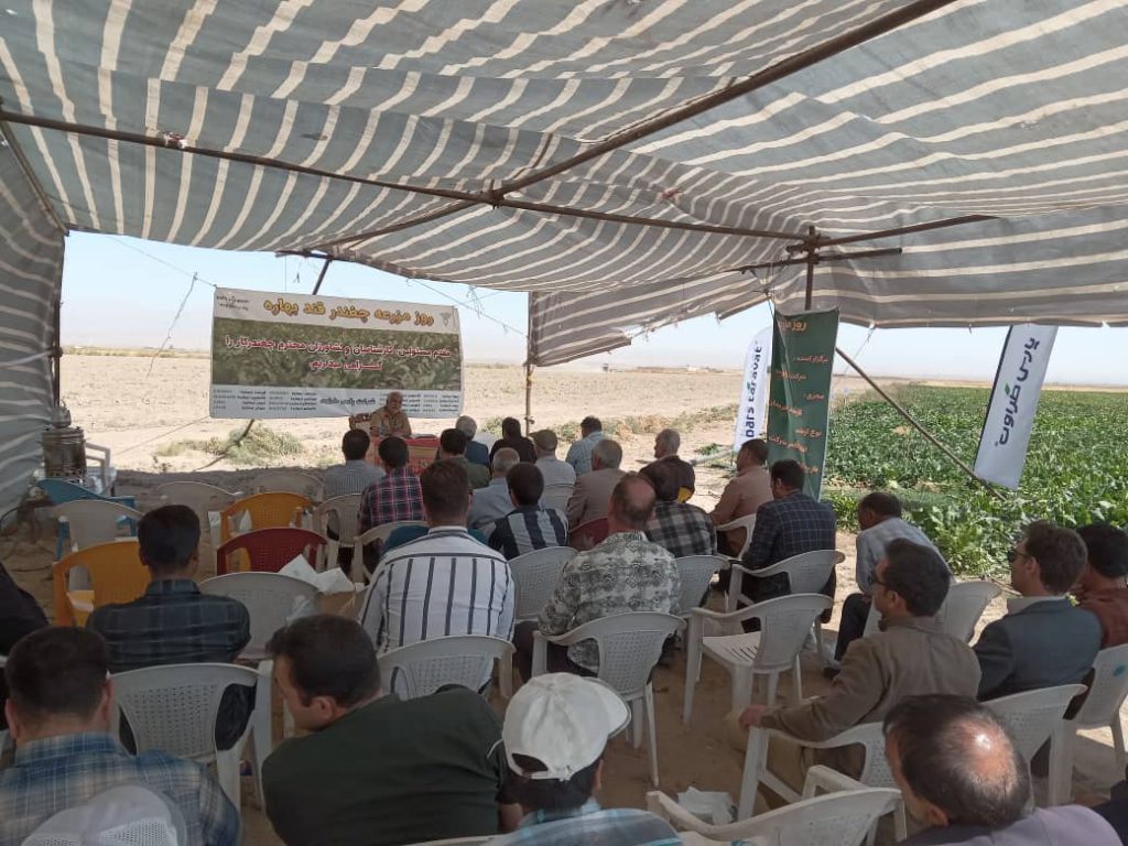 روز مزرعه ماریبو در فریمان