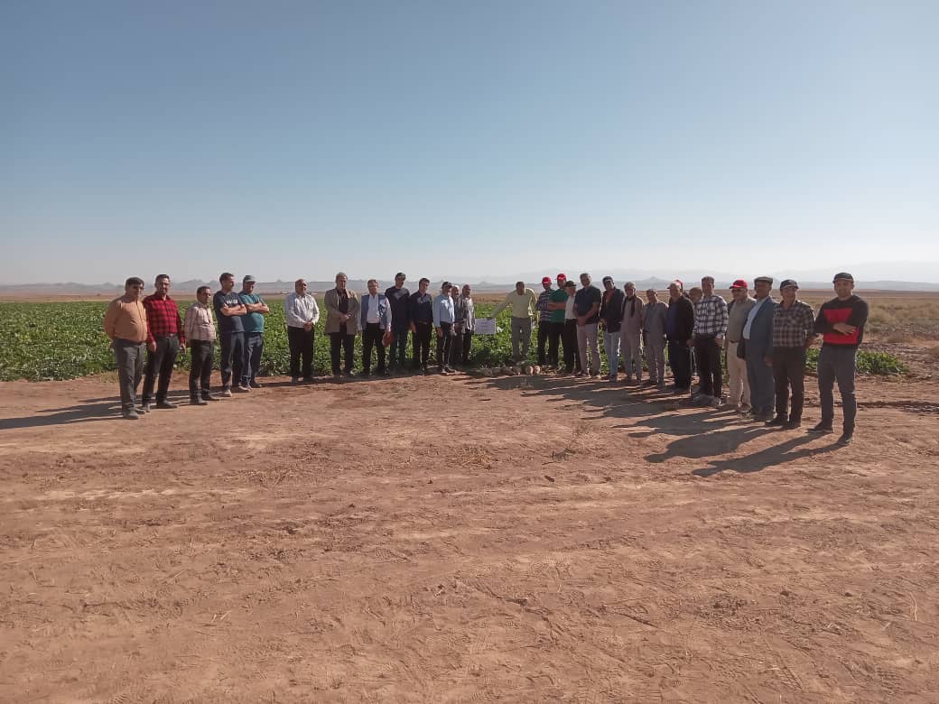 روزمزرعه ماریبو و پارس طراوت در تربت حیدریه