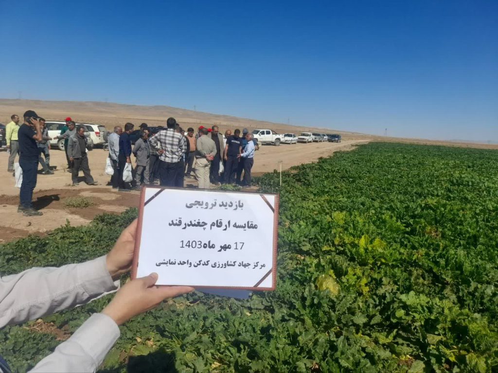 روزمزرعه حصاریزدان