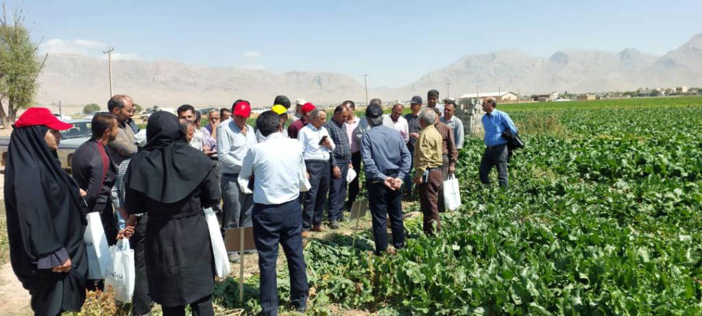 روزمزرعه پارس طراوت در کیار