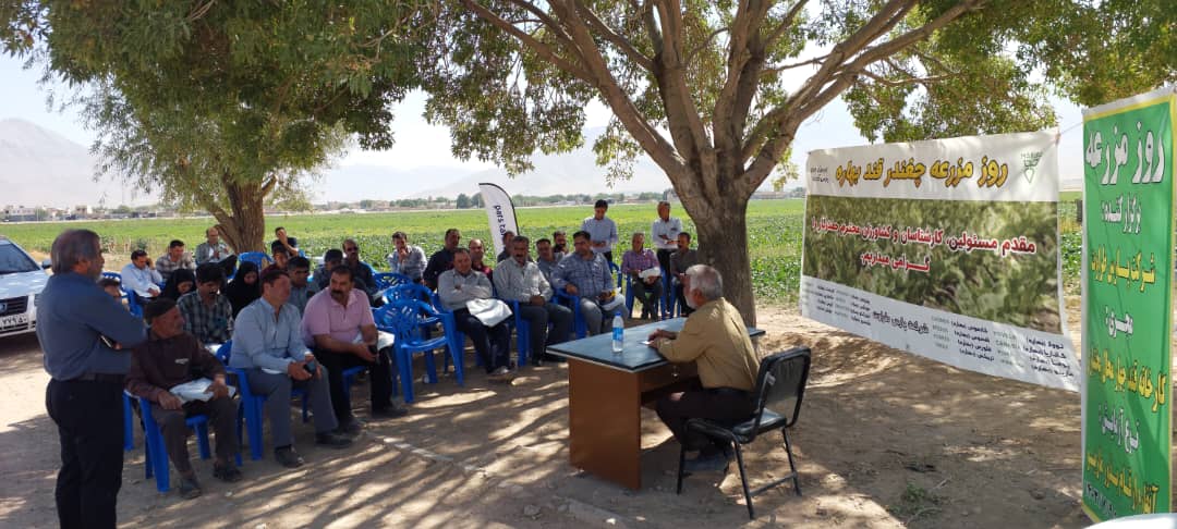 روزمزرعه پارس طراوت و ماریبو در شهرستان کیار