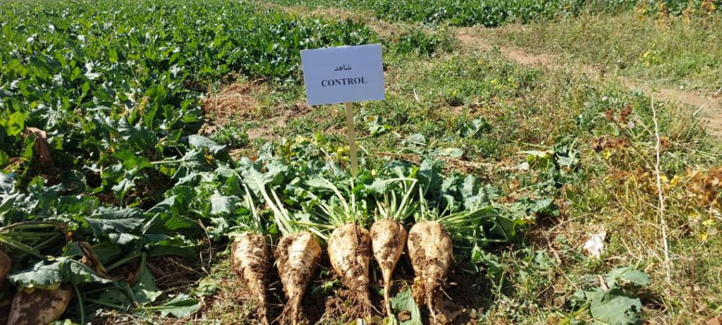 رقم شاهد در روزمزرعه کیار