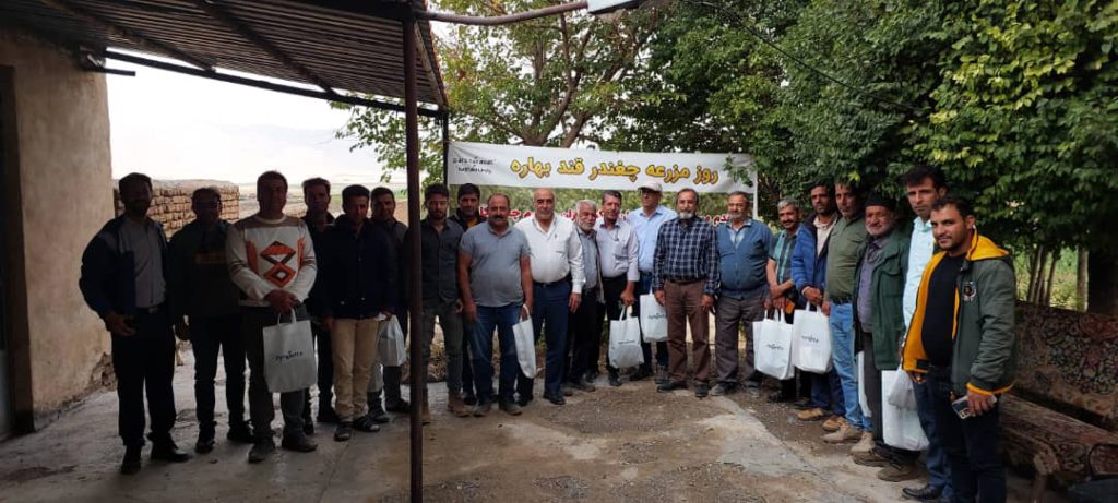 روزمزرعه پارس طراوت و ماریبو در شهرستان داران