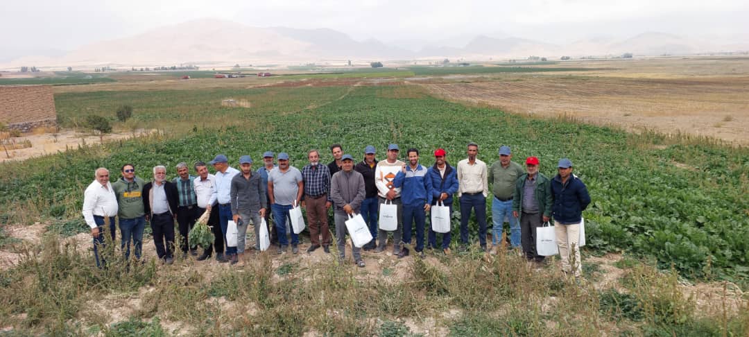 روزمزرعه پارس طراوت و ماریبو در شهر داران