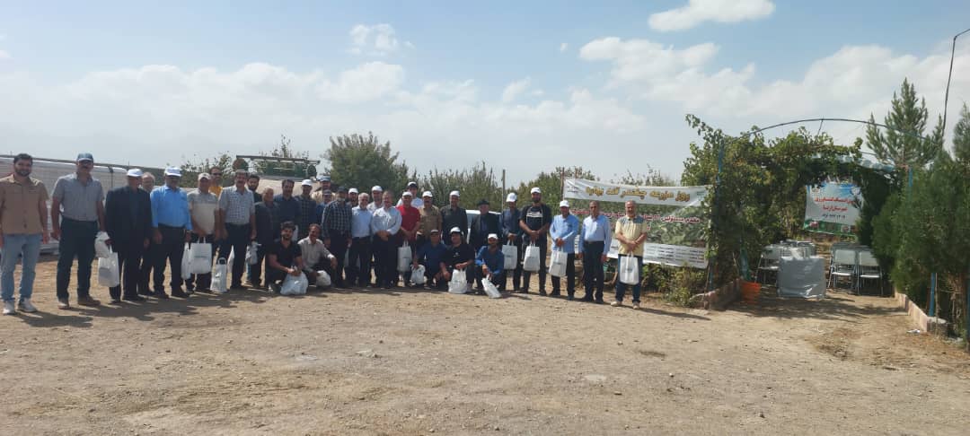 روزمزرعه ماریبو در ازنا