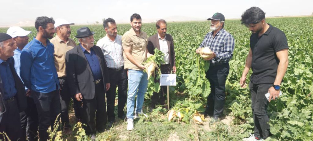 روزمزرعه پارس طراوت و ماریبو در استان لرستان