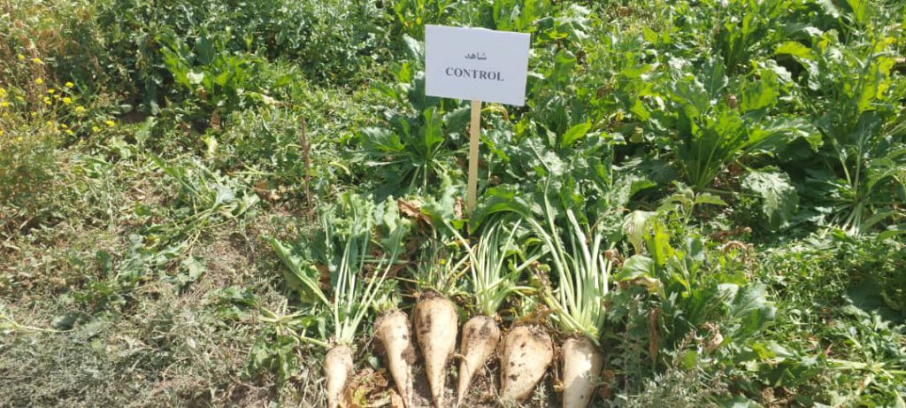 رقم شاهد در بازدید خنجشت