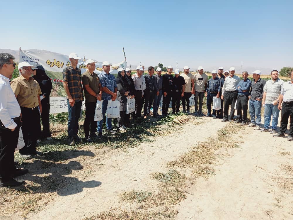 روزمزرعه ماریبو در روستای خنجشت