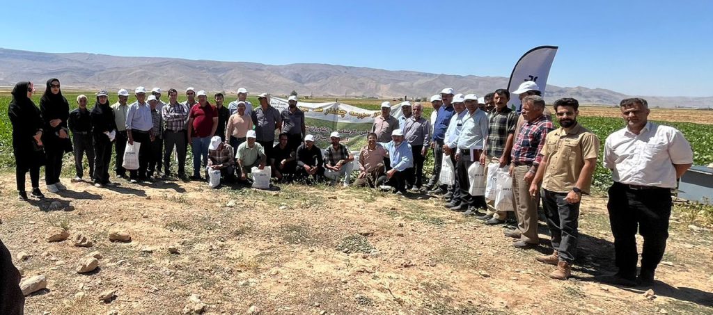 روزمزرعه ماریبو در اله آباد