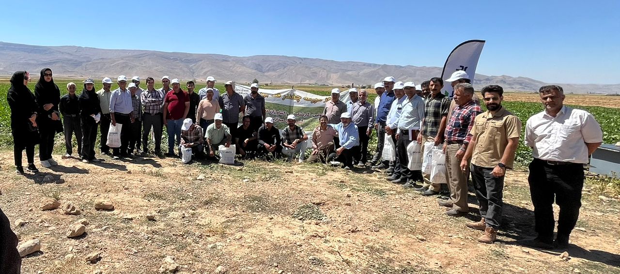 روزمزرعه ماریبو در اله آباد