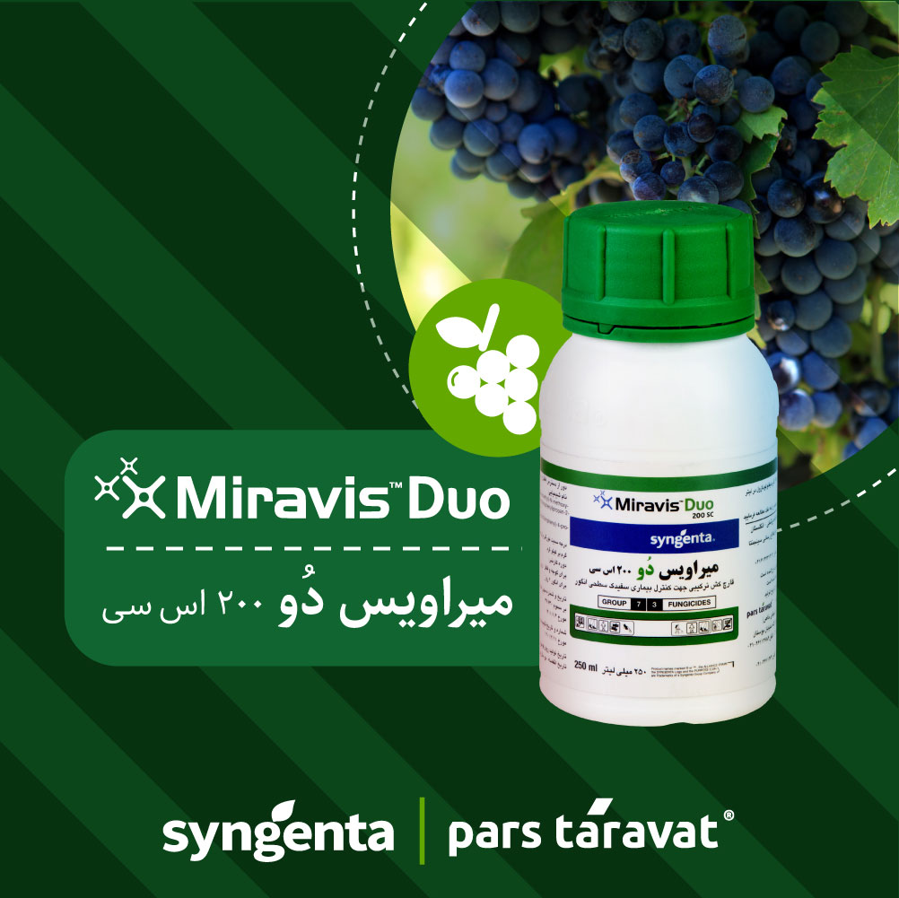 تکنولوژی آدیپیدین در میراویس دو