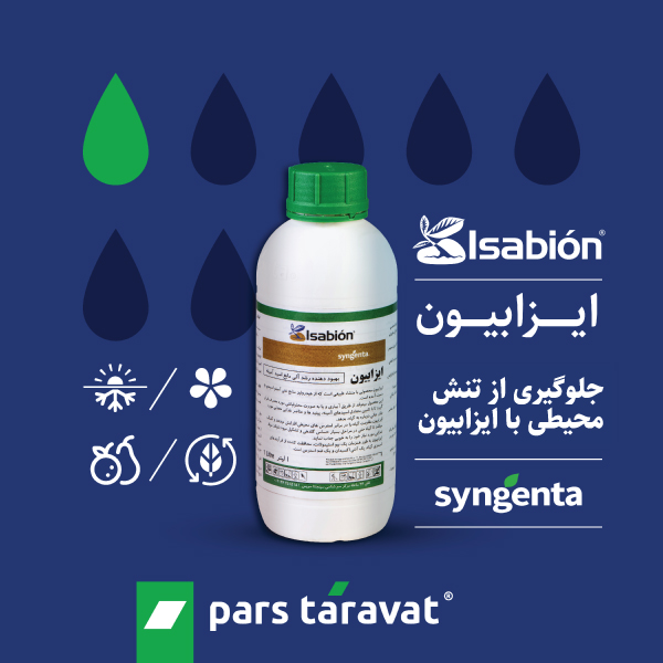 تنش زدایی میطی باایزابیون