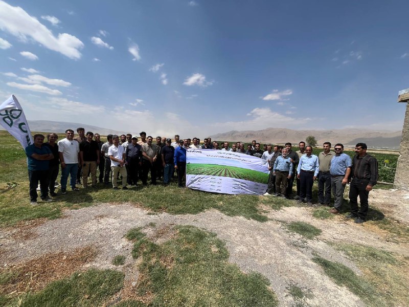 روزمزرعه ماریبودر استان فارس-31 شهریور