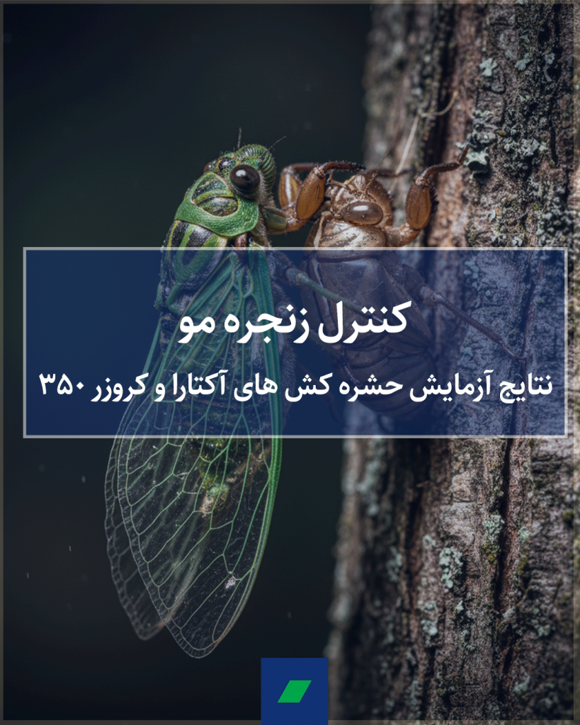 کنترل زنجره مو با حشره کش های آکتارا و کروزر 350